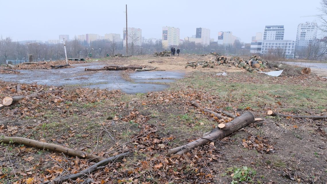 Taki widok na działce w centrum Lublina. Wycinają drzewa, zbudują blok