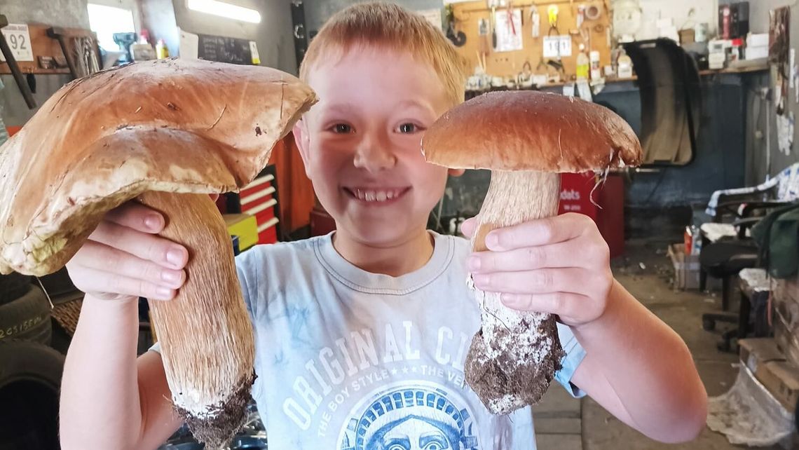 Takie grzyby tylko w Lubelskiem. Nasi czytelnicy się chwalą 