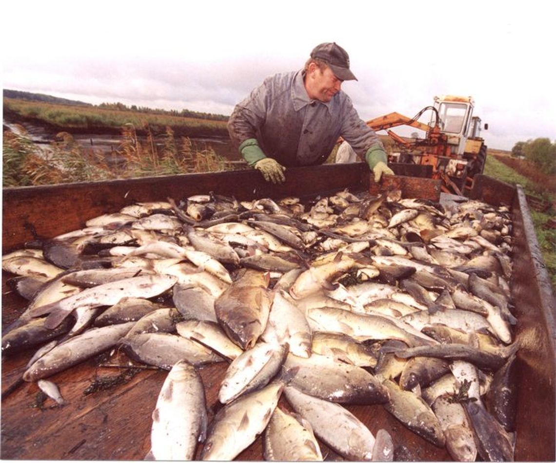 Tam, gdzie żerują czaple, wydry i ludzie