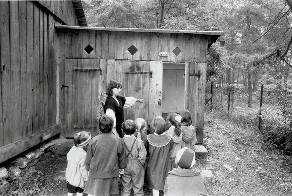 Tarcze szkolne, fluoryzacja i trójki klasowe - taka była szkoła w PRL. Zobacz niezwykłe zdjęcia