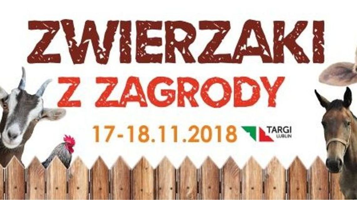 Targi Lublin: Rewia Zwierzaki z Zagrody Targi Lublin: Rewia Zwierzaki z Zagrody