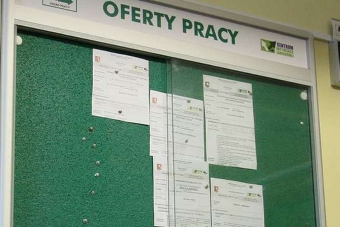 Targi pracy w Świdniku