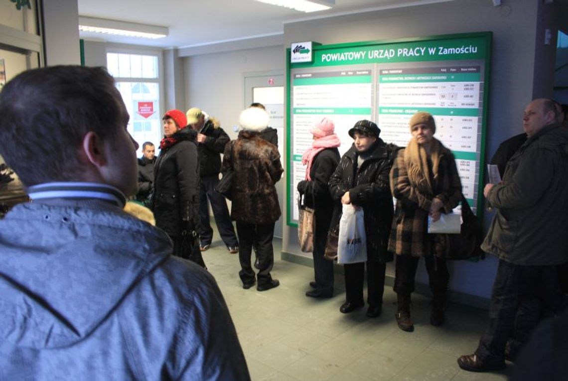Targi pracy w zamojskim OSiR