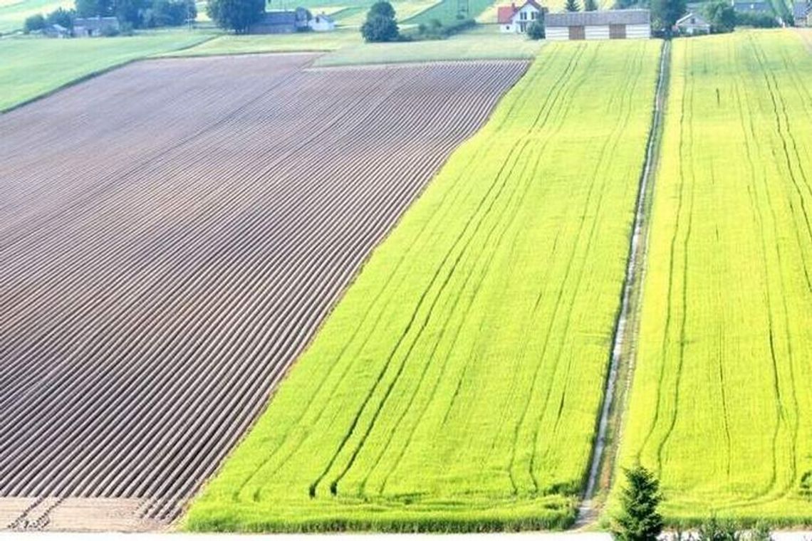 Targi rolnicze Agro-Park w Lublinie: Najlepsi rolnicy, nowoczesne maszyny Targi rolnicze Agro-Park w Lublinie: Najlepsi rolnicy, nowoczesne maszyny
