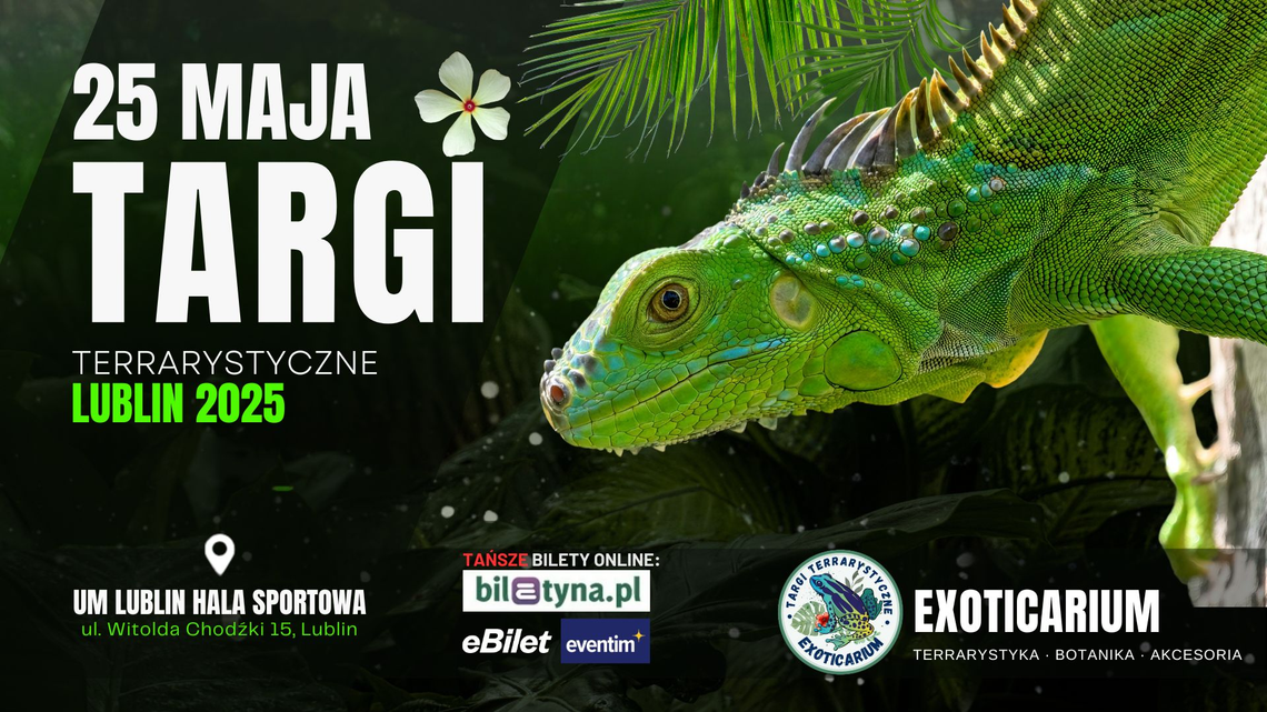 Targi Terrarystyczne LUBLIN – prawdziwa uczta dla fanów egzotyki!