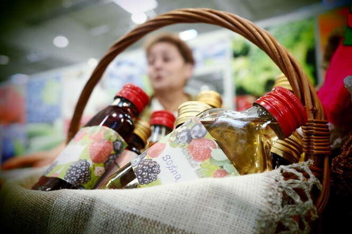 Targi Vege Fruit Expo: Maszyny, sadzonki i wykłady dla rolników