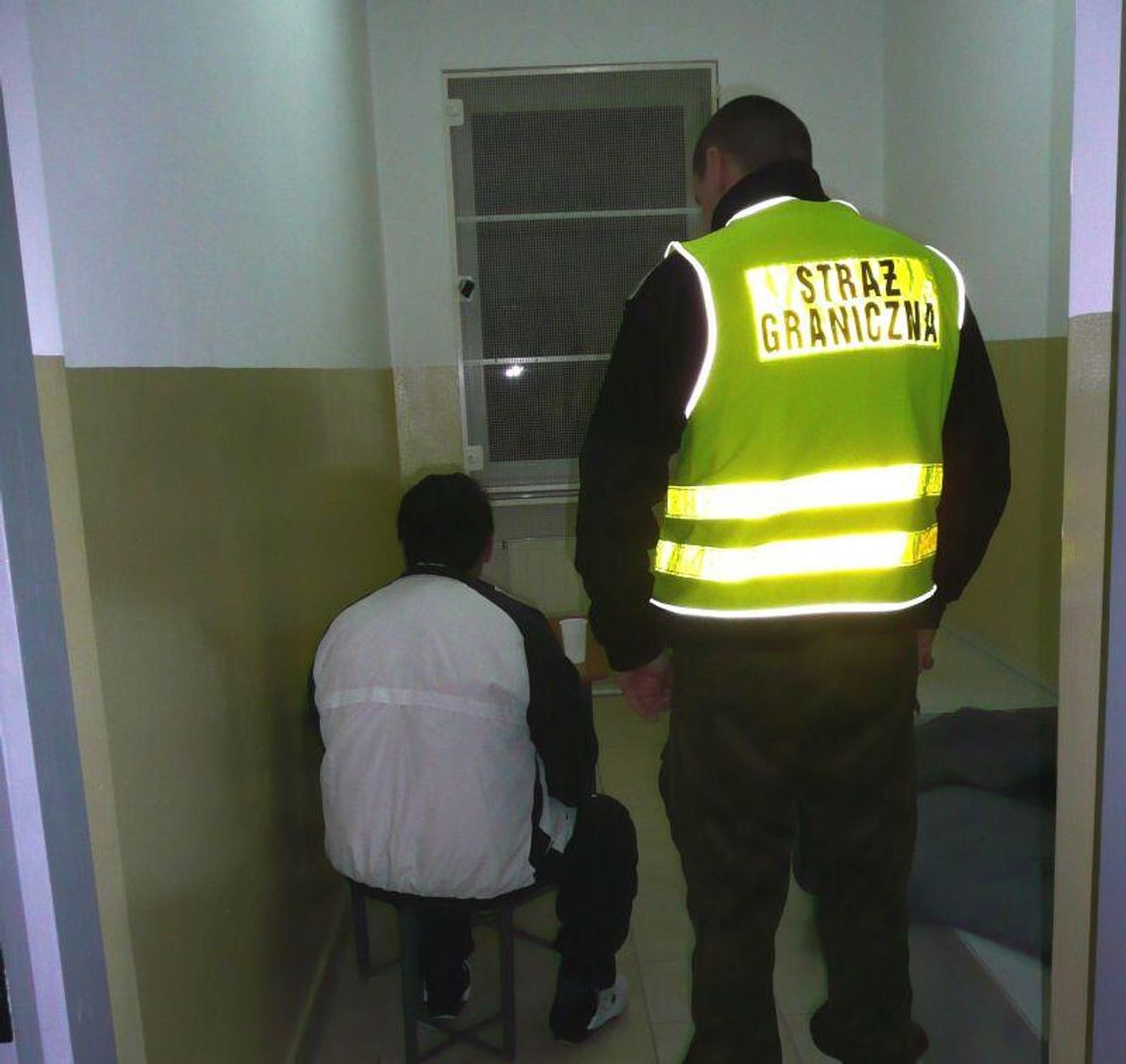 Tarnoszyn: Gruzini szli szukać pracy. Zatrzymała ich Straż Graniczna