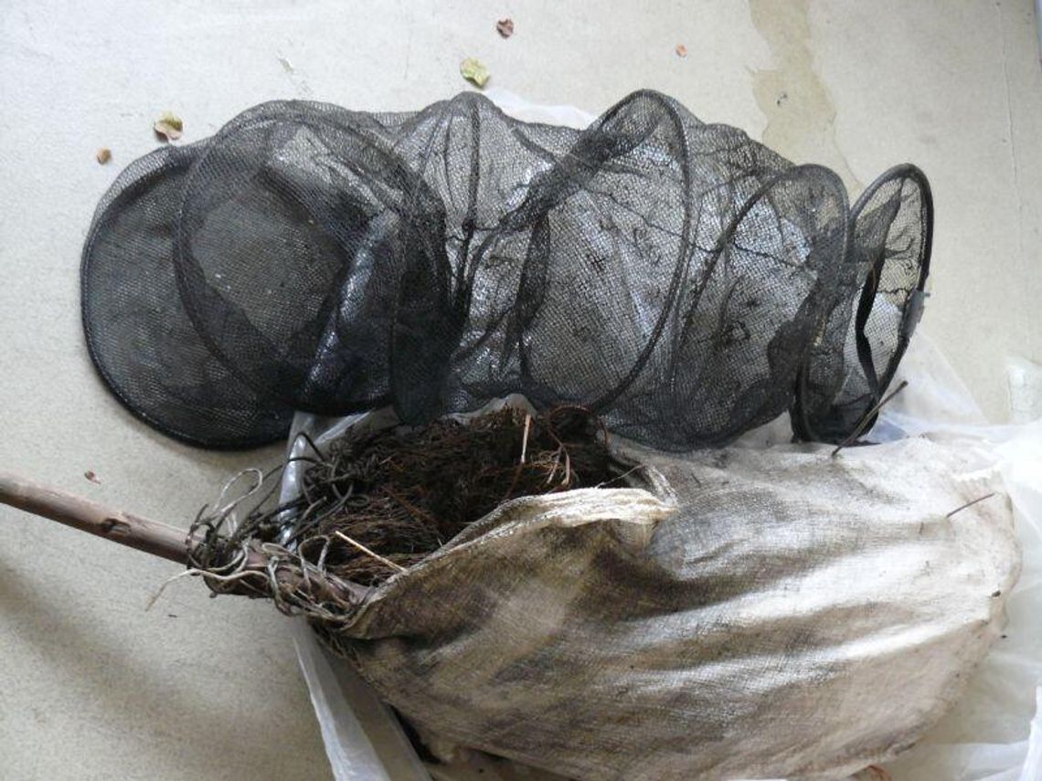  Tchórzew: Kłusownicy nic nie złapali. Trafili w ręce policji