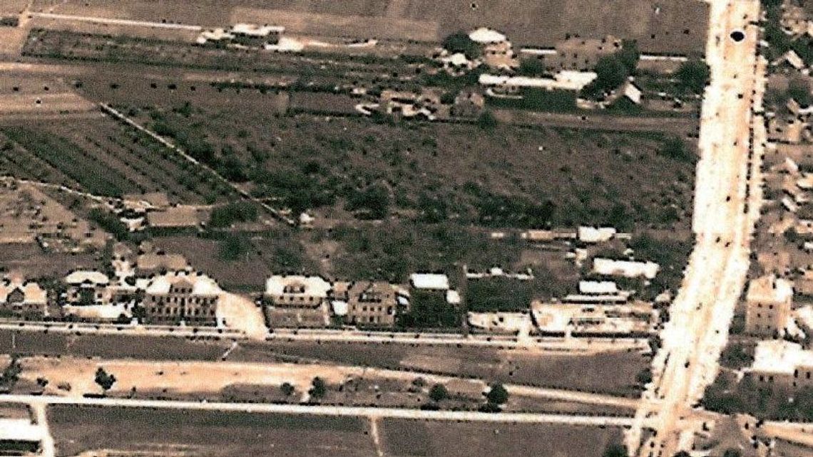 Te kości nadal tu są. Odkrycie w piwnicach Zamojskiego Domu Kultury