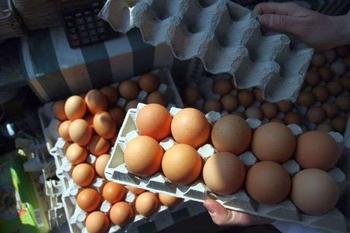 Tego jeszcze nie było. Duża sieć ostrzega, że w sklepach może zabraknąć jajek