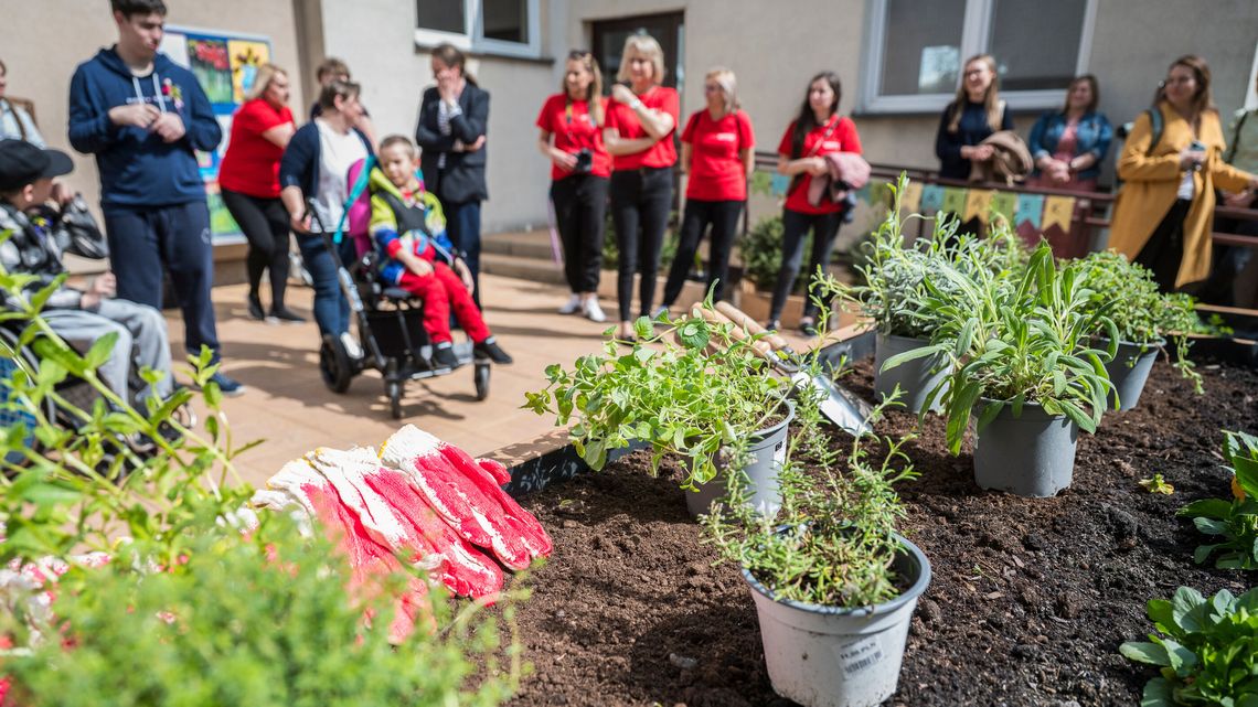 Tego jeszcze nie było. Powstał pierwszy w mieście ogród społeczny
