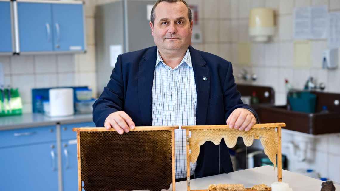 Ten wynalazek może zrewolucjonizować rynek pszczelarski. Do czego służy woskomat?