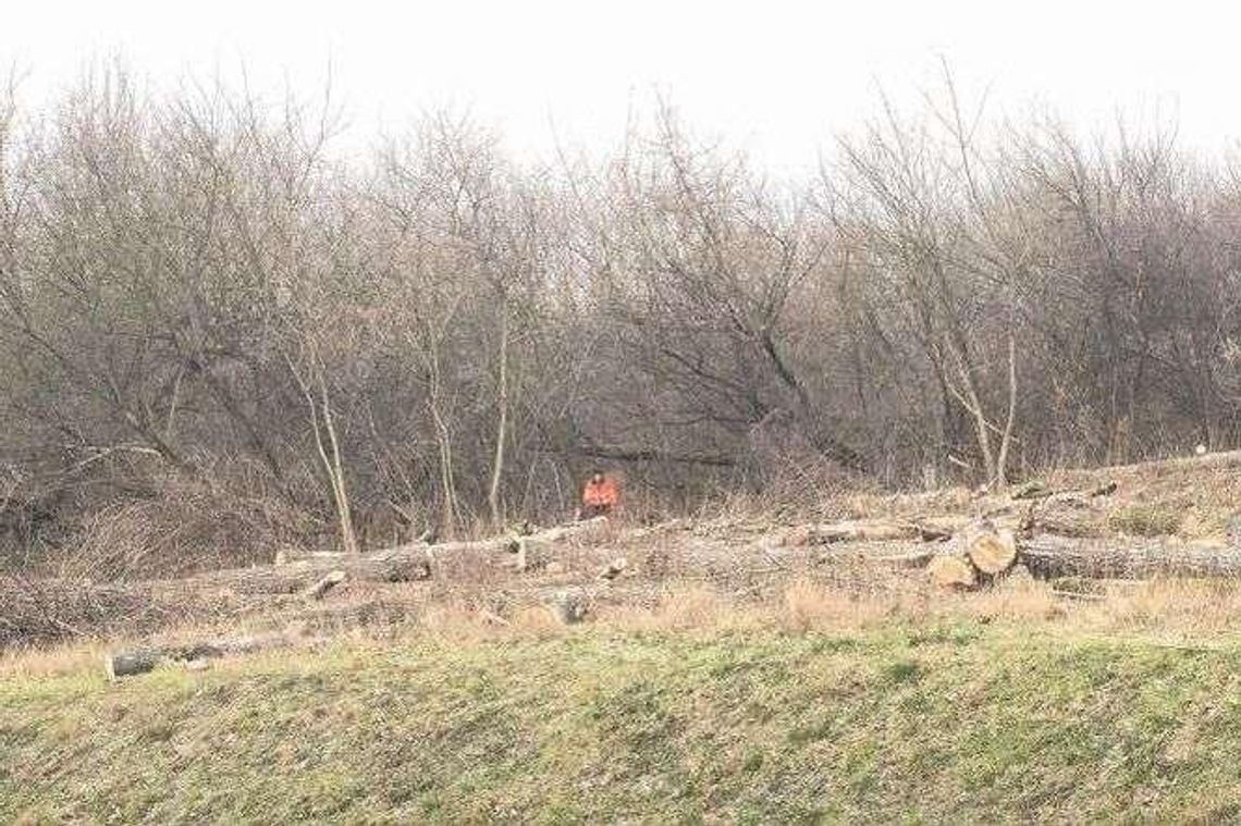 Teraz wycinka, później budowa. Co powstanie przy ul. Głębokiej w Lublinie?