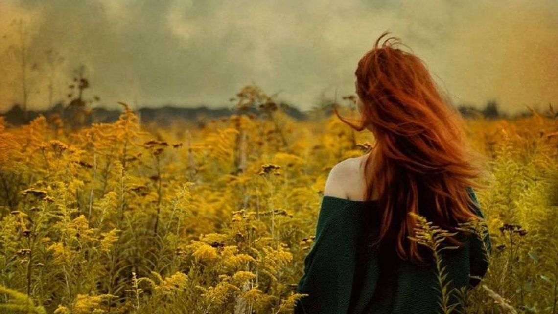 Tereny zielone w mieście. Spotkanie z prof. Ewą Trzaskowską