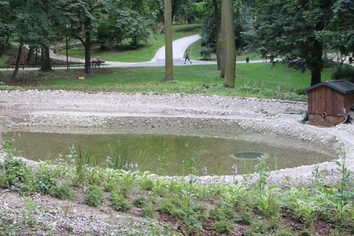 Testują staw w Ogrodzie Saskim