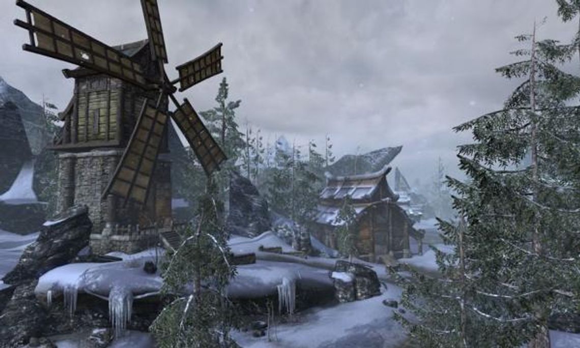 The Elder Scrolls Online: Jak to będzie wyglądało?