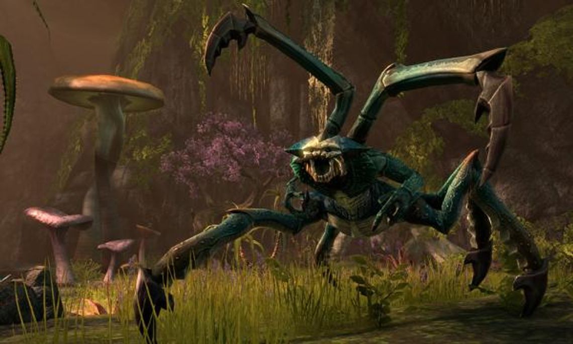 The Elder Scrolls Online: Zwiastun i beta (wideo)