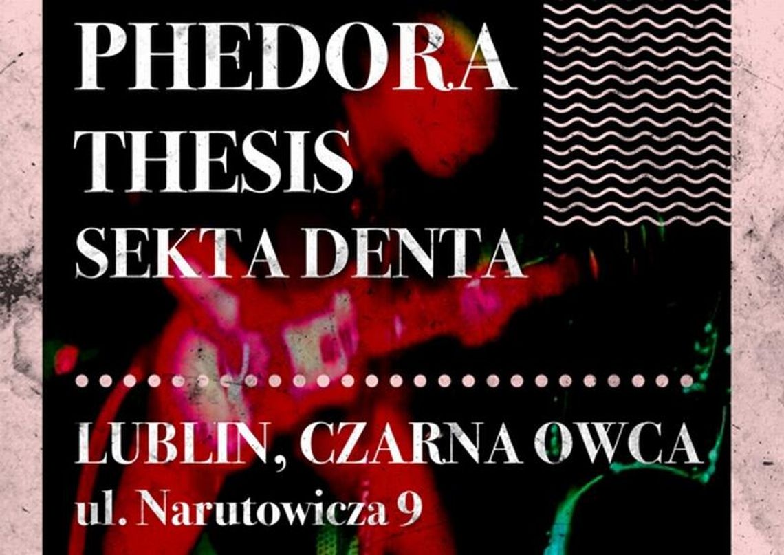 Thesis, Phedora i Sekta Denta w Czarnej Owcy