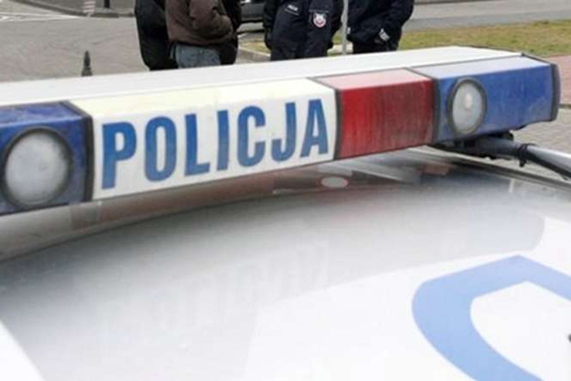 Tłukła kijem w cudzy samochód. Chciała wystraszyć psa Tłukła kijem w cudzy samochód. Chciała wystraszyć psa
