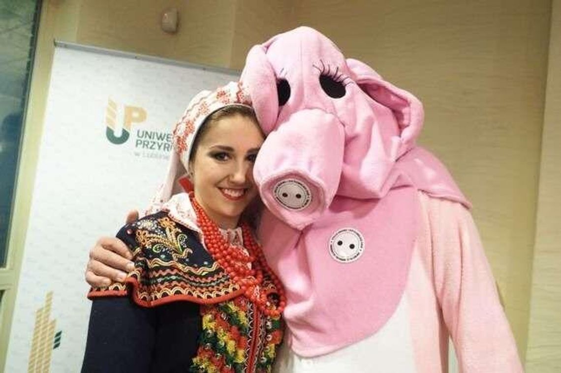 Tłumy maturzystów na dniach otwartych Uniwersytetu Przyrodniczego (zdjęcia)