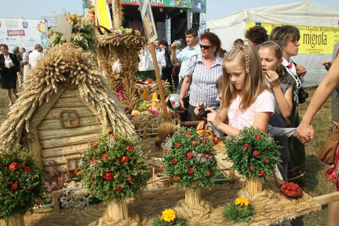 Tłumy na dożynkach w Radawcu (zdjęcia)