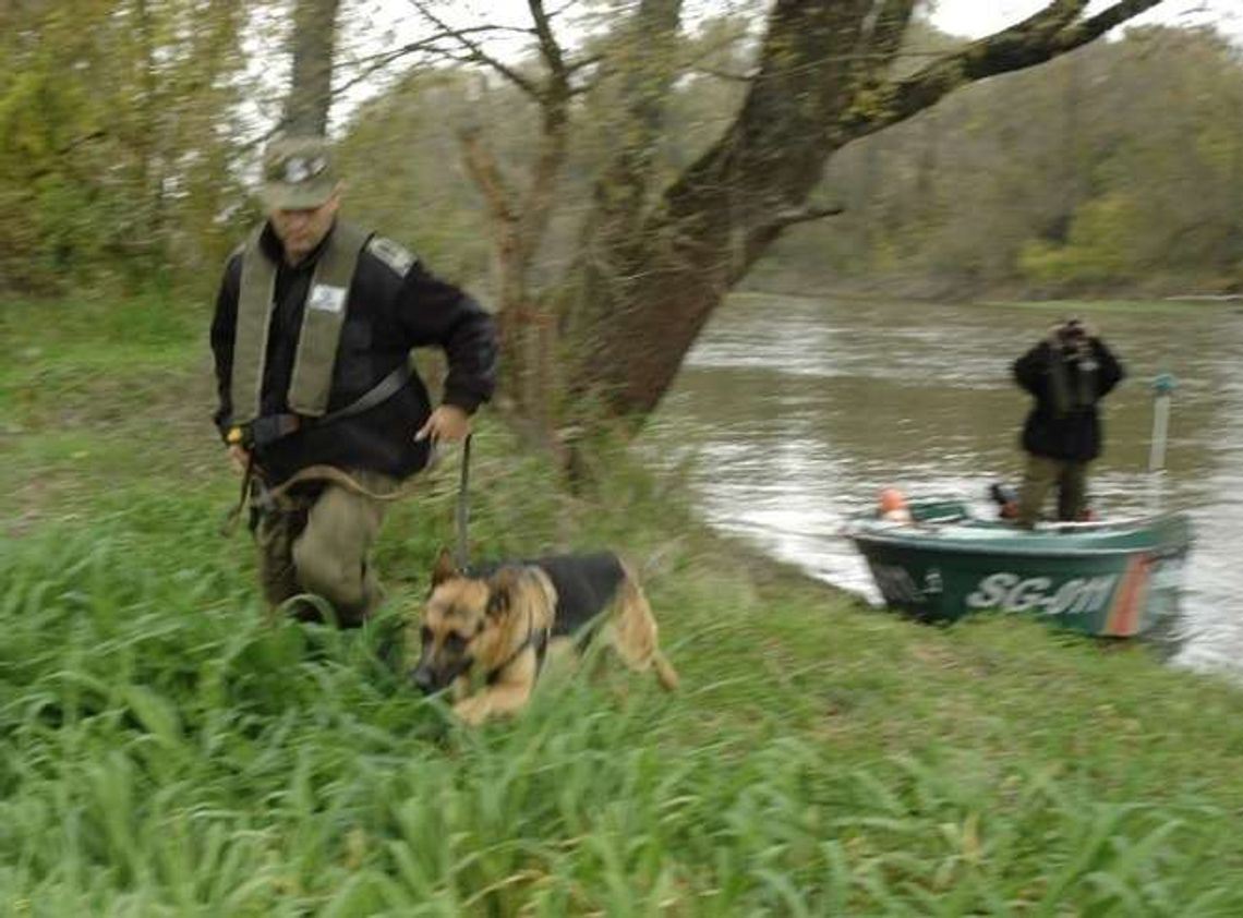 To Amigo wytropił mężczyznę, który uciekł policjantom