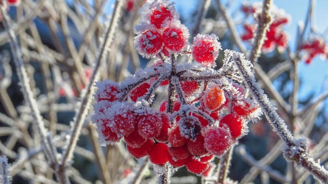 To będzie zimna noc, a potem do Lublina przyjdzie prawdziwy mróz