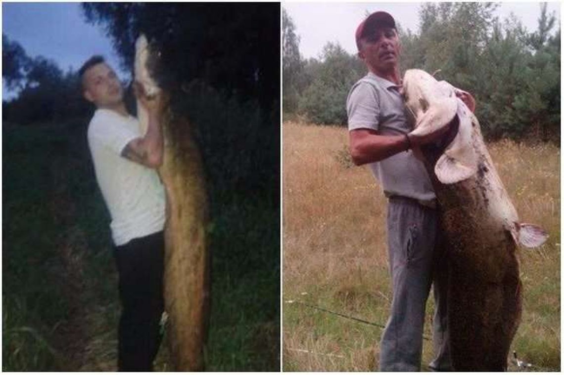 To był dzień wielkich połowów. Gigantyczne sumy złowione w tej samej okolicy