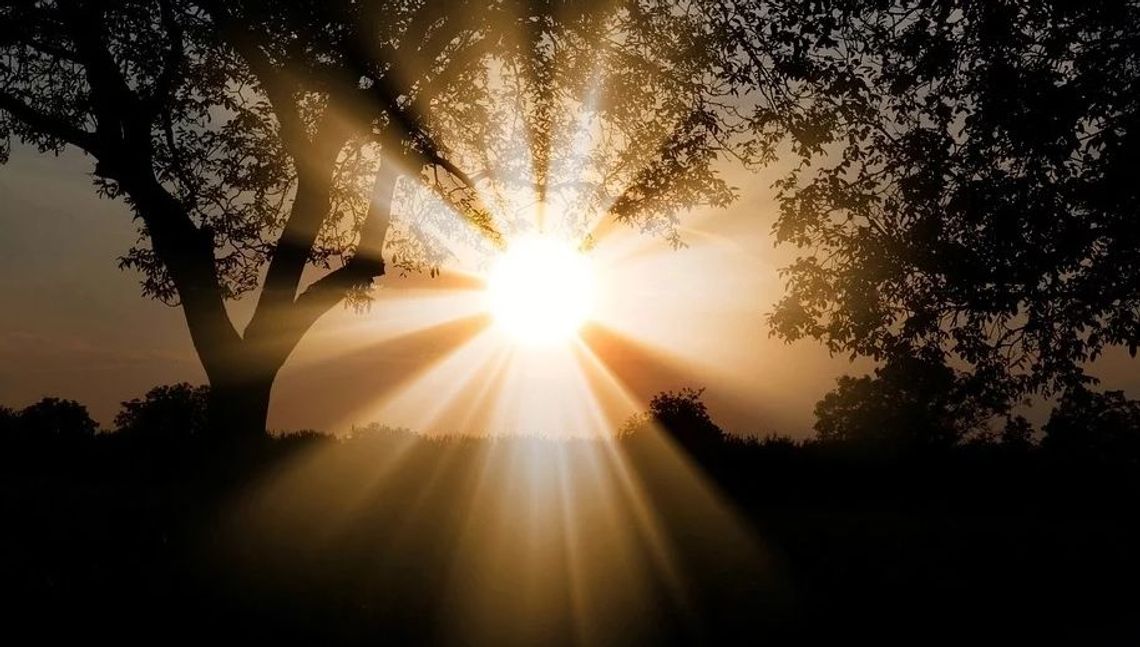 To była rekordowa ciepła zima. "Na kilkunastu stacjach nie było ani jednego dnia z pokrywą śnieżną" To była rekordowa ciepła zima. "Na kilkunastu stacjach nie było ani jednego dnia z pokrywą śnieżną"