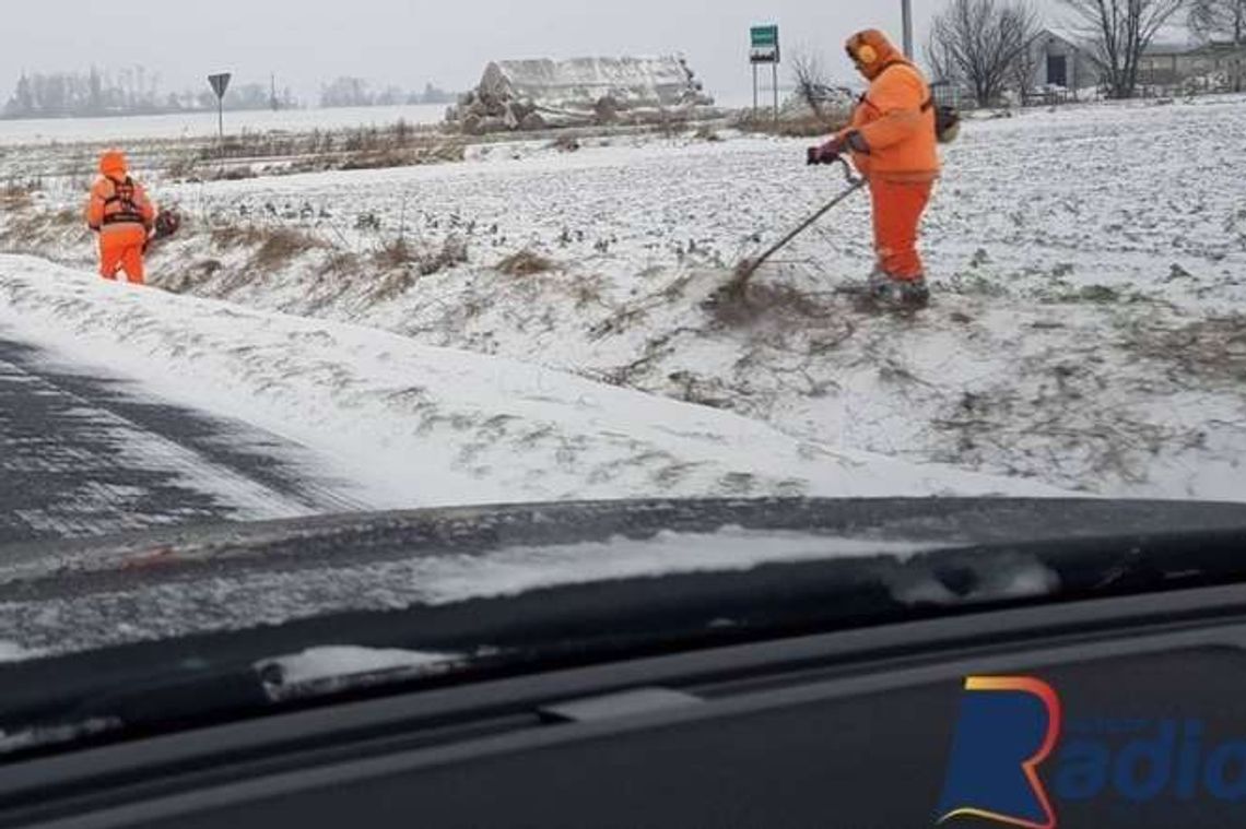 To dzisiejszy hit internetu. Drogowcy zaskoczyli zimę i... koszą trawę