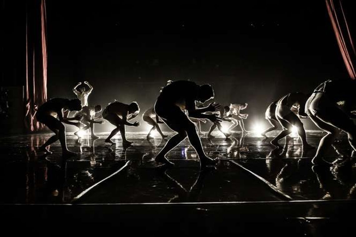 "To jest jak zakon, sekta taneczna". Kibbutz Contemporary Dance Company wystąpi w Lublinie