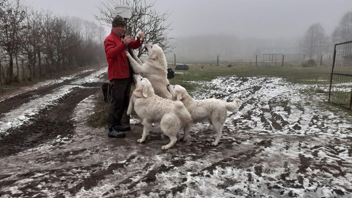To już nasze miejsce na ziemi. Budowlaniec, który został rolnikiem