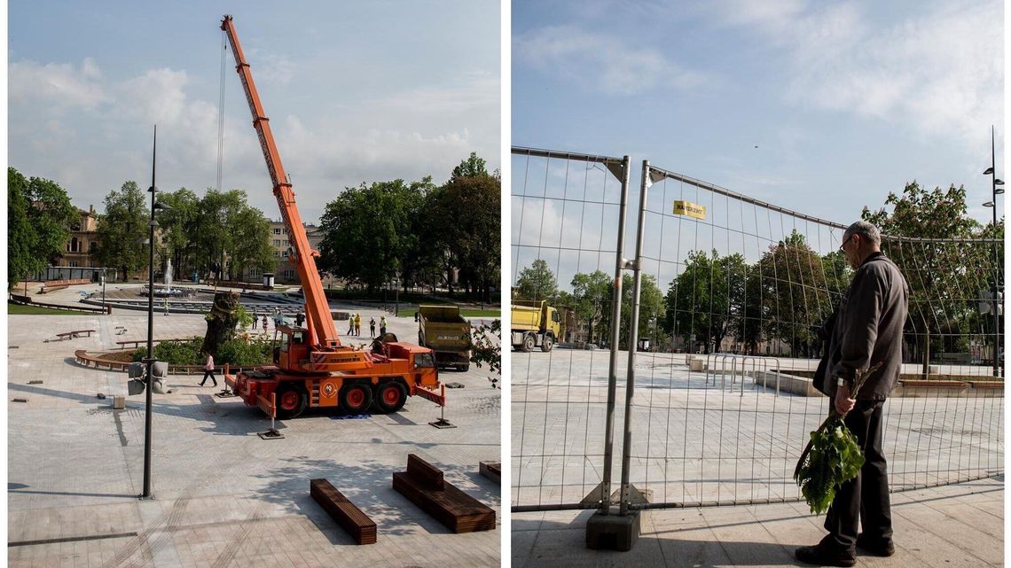 To już pięć lat jak go nie ma. Rocznica wycięcia Baobabu na placu Litewskim