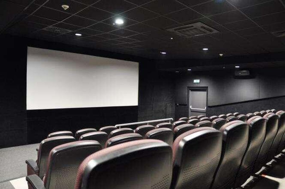 To kino odwiedziło ponad 230 tys. widzów w 2017 roku