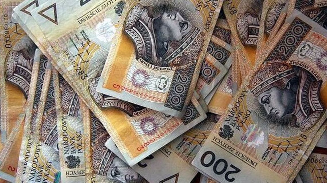 To nie było na waciki. Kierowca przemycał przez granicę naprawdę duże pieniądze