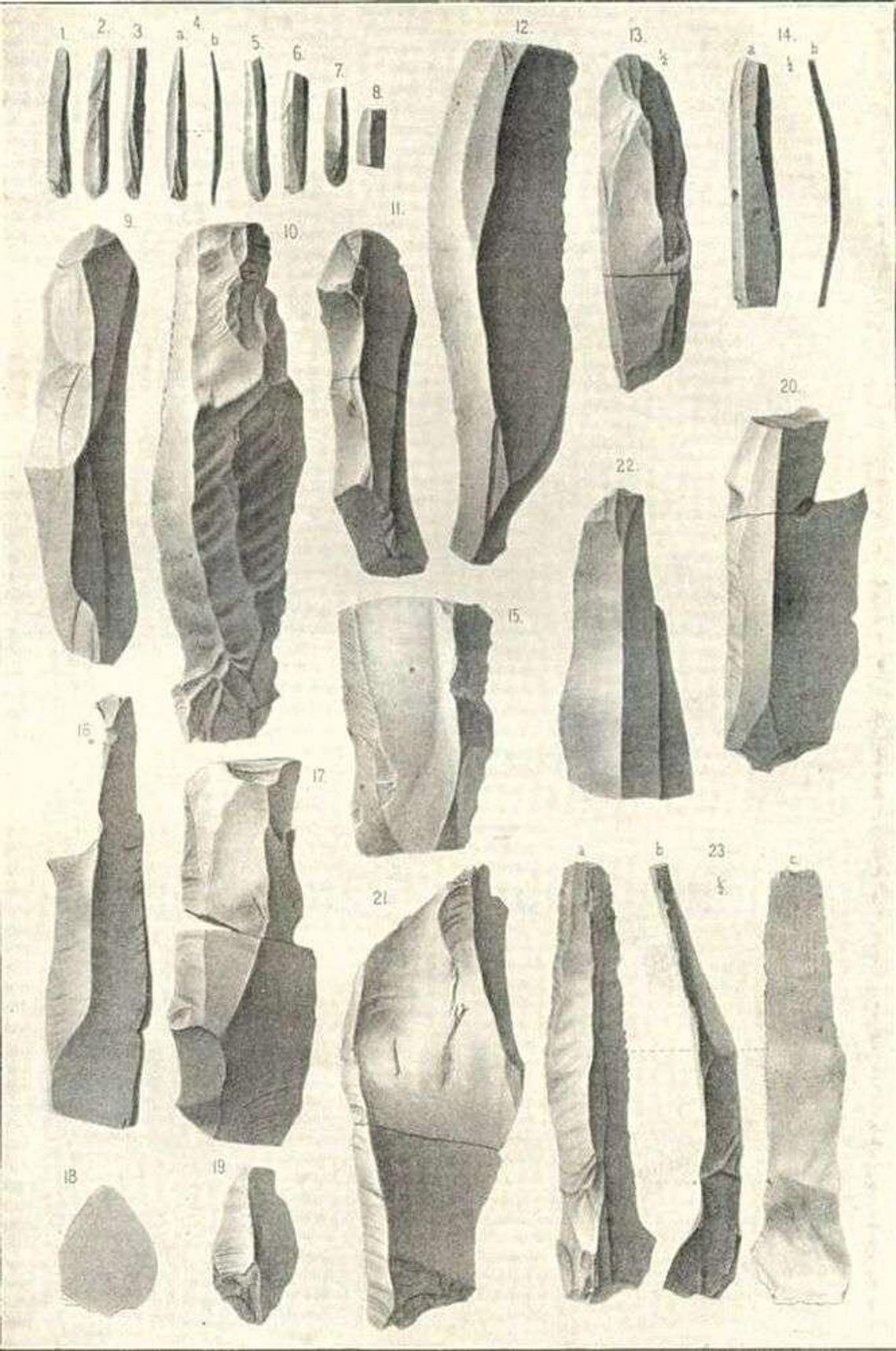 To tu znaleziono jedne z najstarszych śladów pobytu człowieka