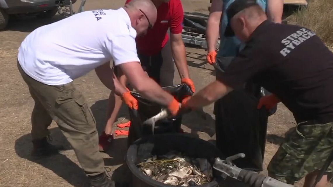 To zabiło Odrę. Szukali złotych alg w lubelskich rzekach