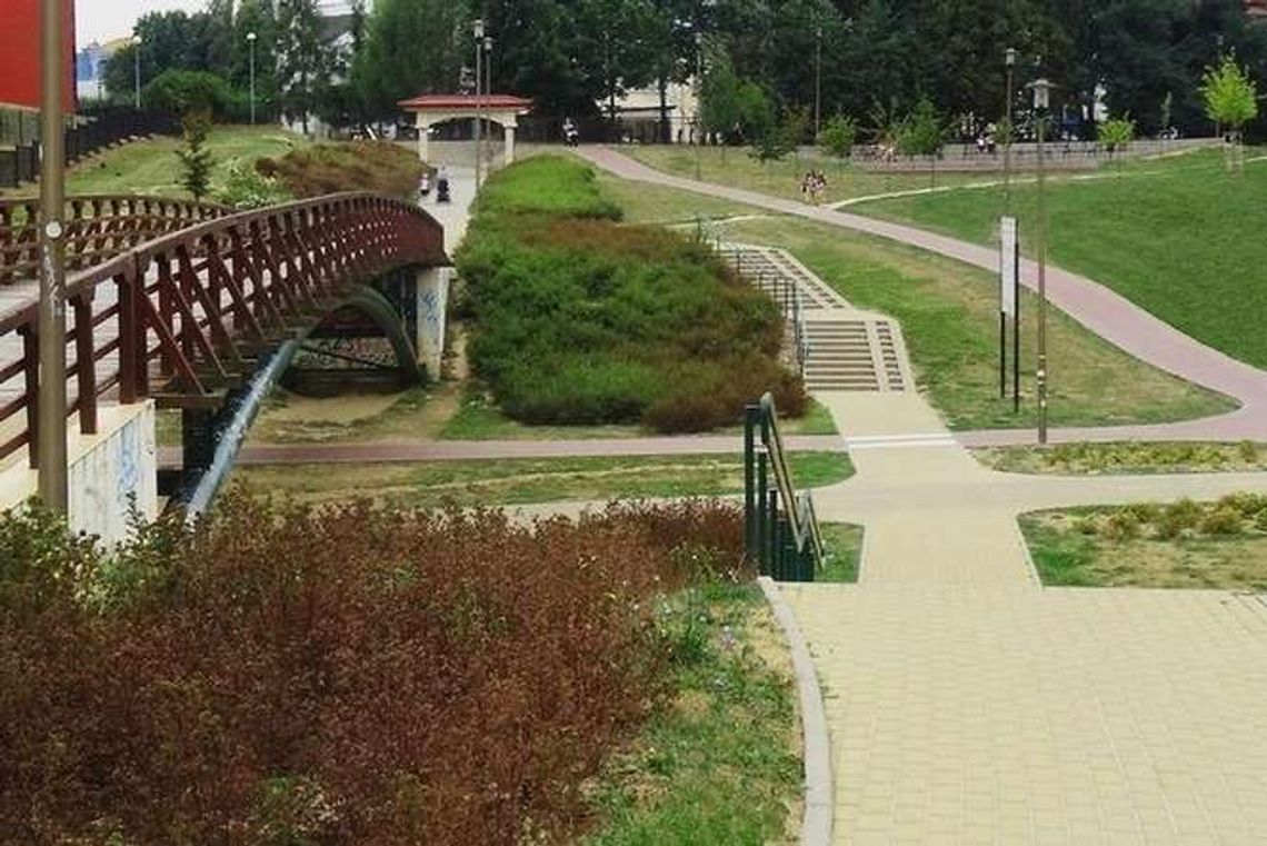 Toaleta powstanie w parku Jana Pawła II? Toaleta powstanie w parku Jana Pawła II?
