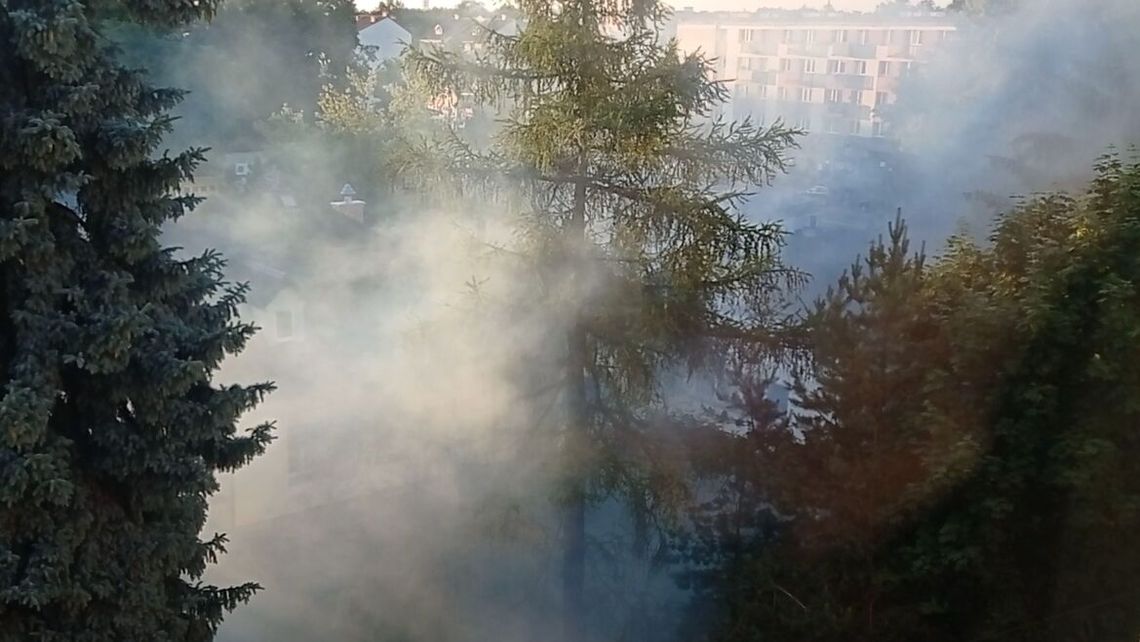 Toksyczna mgła w środku miasta. "W mieszkaniu zrobiło się biało"