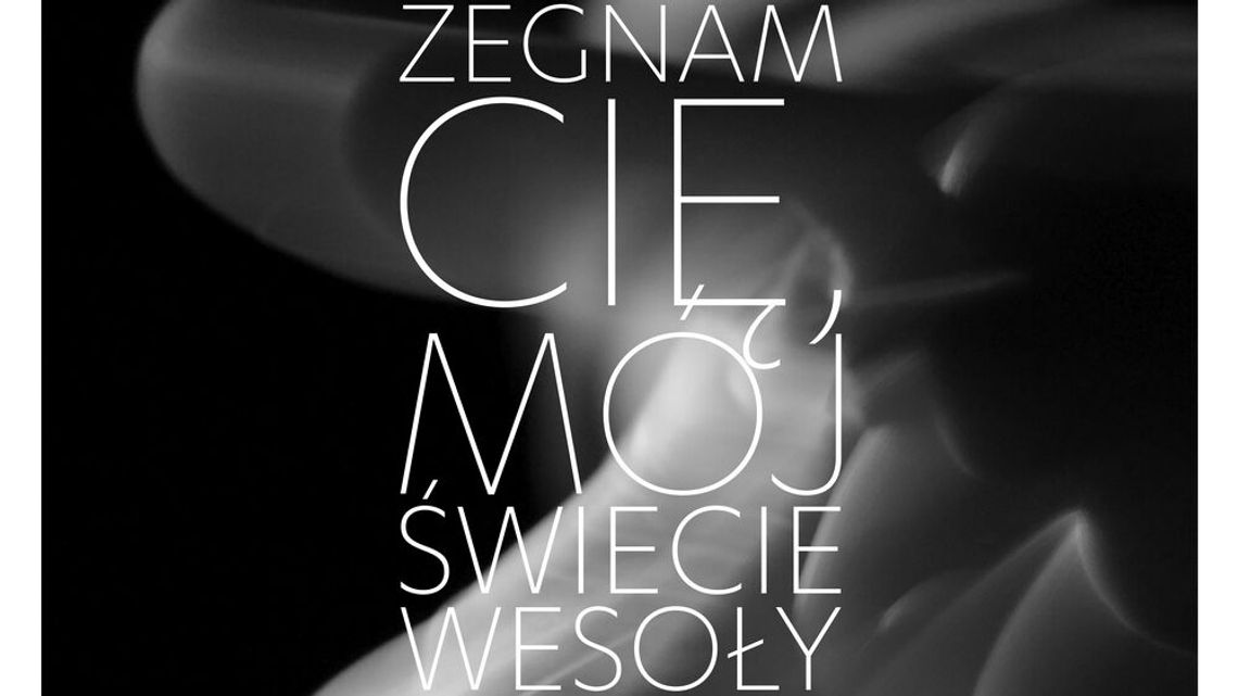 Tomaszów Lubelski. Kino za darmo. Projekcja w plenerze Tomaszów Lubelski. Kino za darmo. Projekcja w plenerze