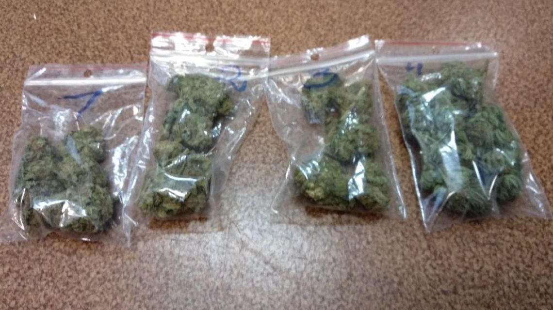 Tomaszów Lubelski: Wiedzieli, że może mieć narkotyki, potwierdziło się