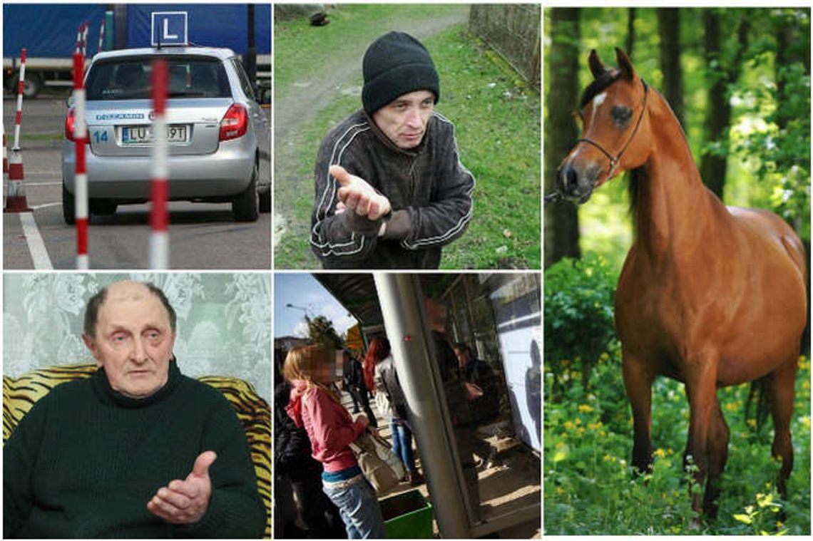 TOP 20 najczęściej czytanych tekstów na naszym portalu w marcu