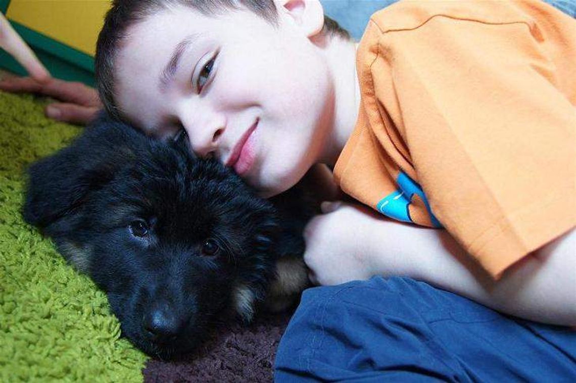 Toretto psim terapeutą we Wspólnym Świecie