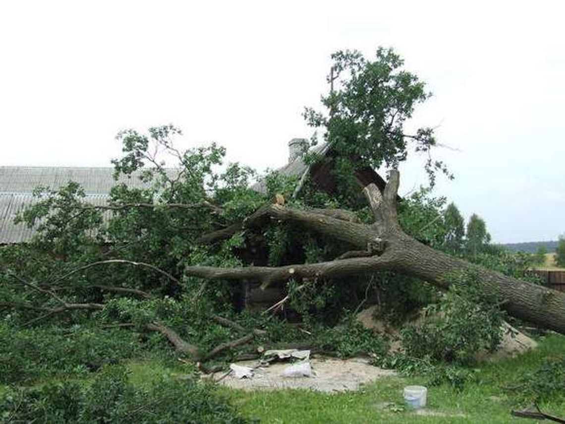 Tornado przeszło nad Świętokrzyskiem. Są ogromne straty