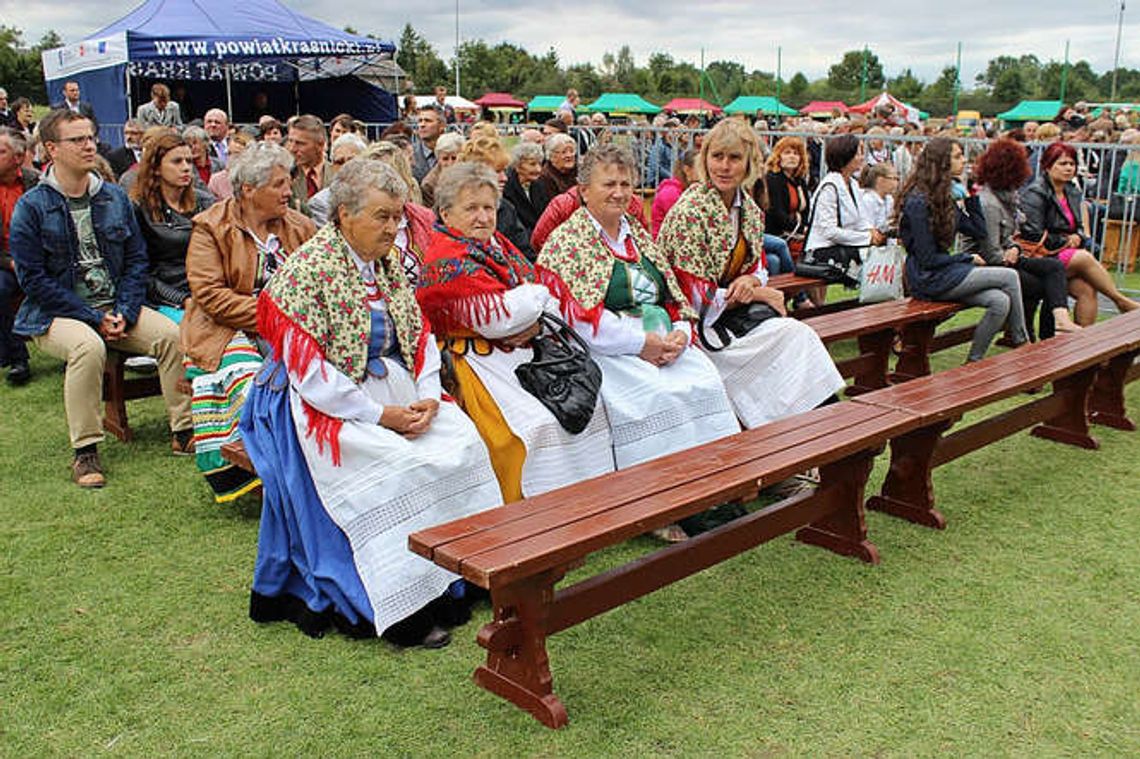 Tradycja i zabawa czyli Dożynki Powiatu Kraśnickiego (zdjęcia)