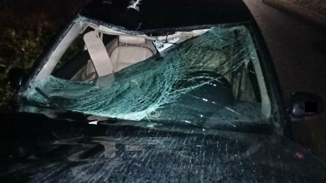 Tragedia na drodze pod Puławami. Dwie młode kobiety zginęły Tragedia na drodze pod Puławami. Dwie młode kobiety zginęły