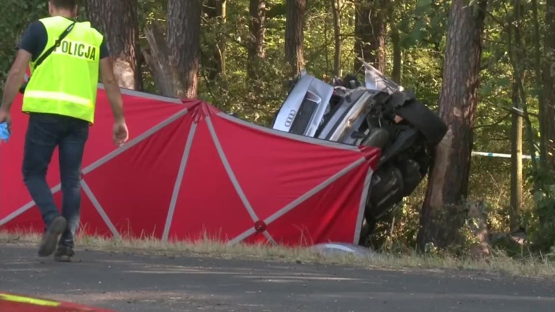 Tragedia na drodze. Samochód uderzył w drzewo, cztery osoby nie żyją [wideo]