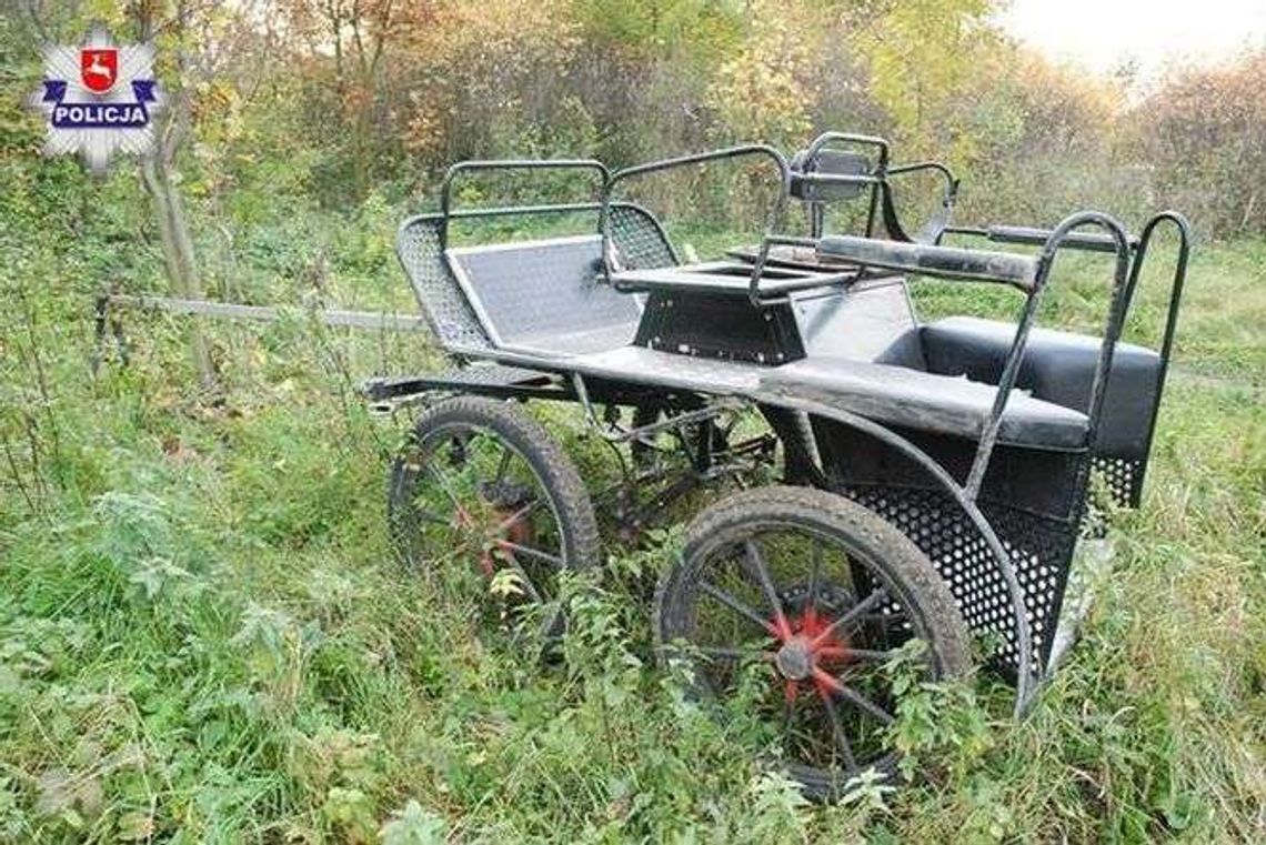 Tragedia na łące. Wywróciła się bryczka, nie żyje 67-latek 
