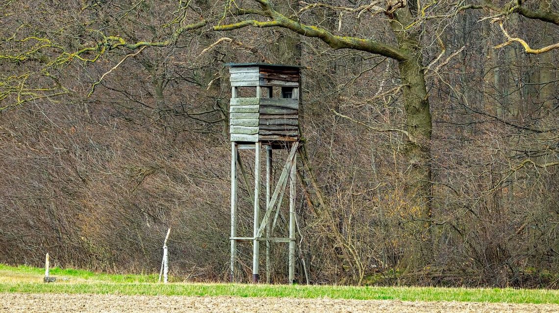 Tragedia na polowaniu. Myśliwy pomylił człowieka z dzikiem?