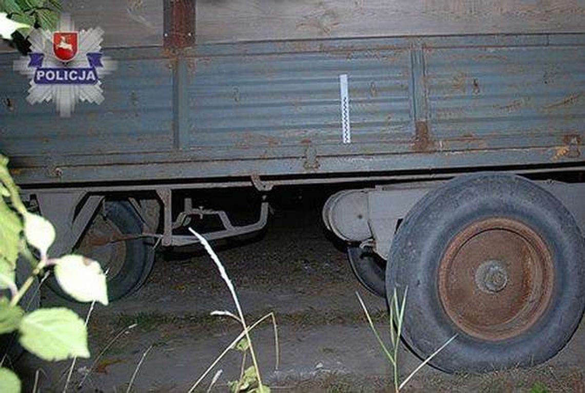 Tragedia na polu kukurydzy. Rolnik nie żyje